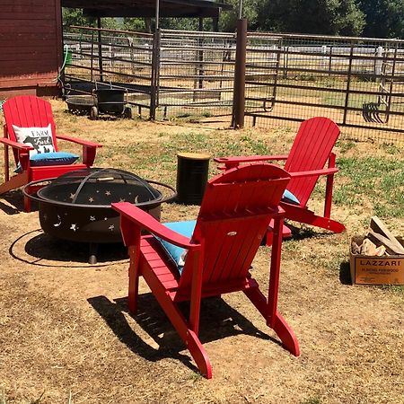 Pilot HillAmazing Loft On Horse Ranch公寓 外观 照片