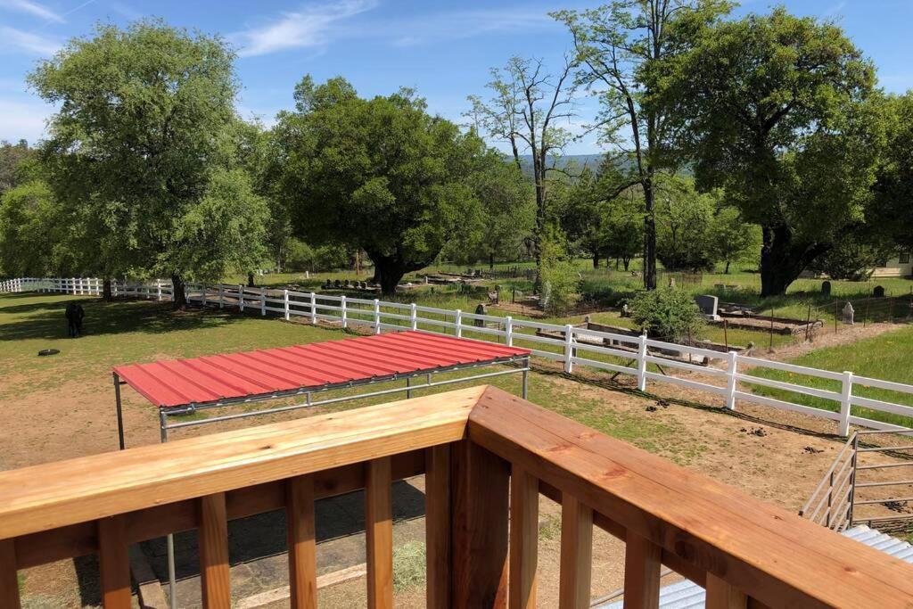 Pilot HillAmazing Loft On Horse Ranch公寓 外观 照片