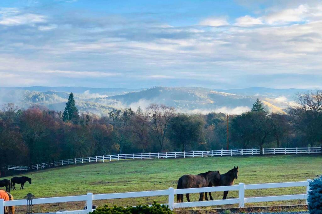 Pilot HillAmazing Loft On Horse Ranch公寓 外观 照片