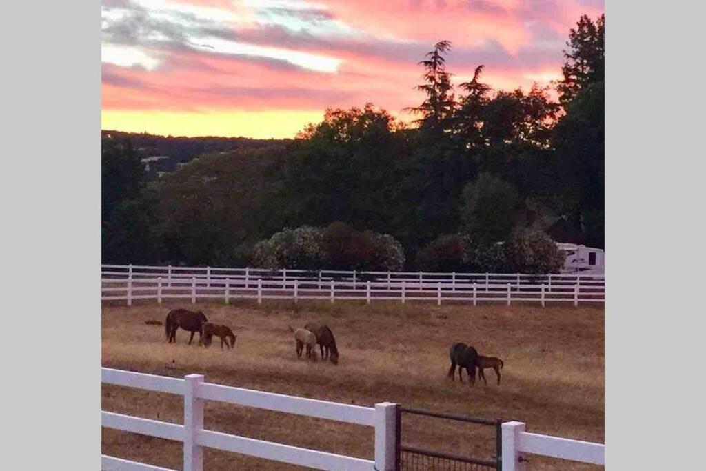 Pilot HillAmazing Loft On Horse Ranch公寓 外观 照片
