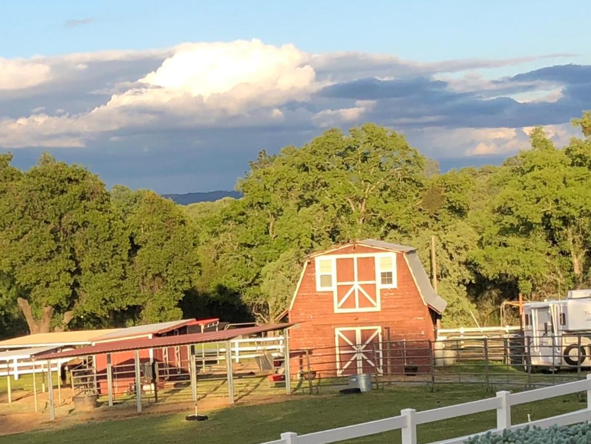 Pilot HillAmazing Loft On Horse Ranch公寓 外观 照片