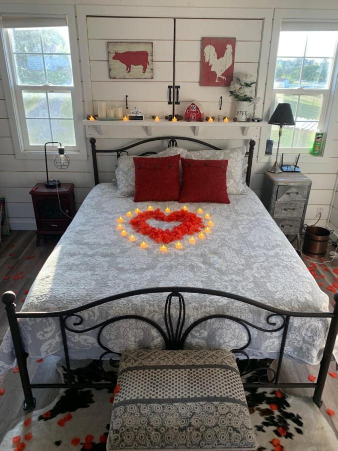 Pilot HillAmazing Loft On Horse Ranch公寓 外观 照片