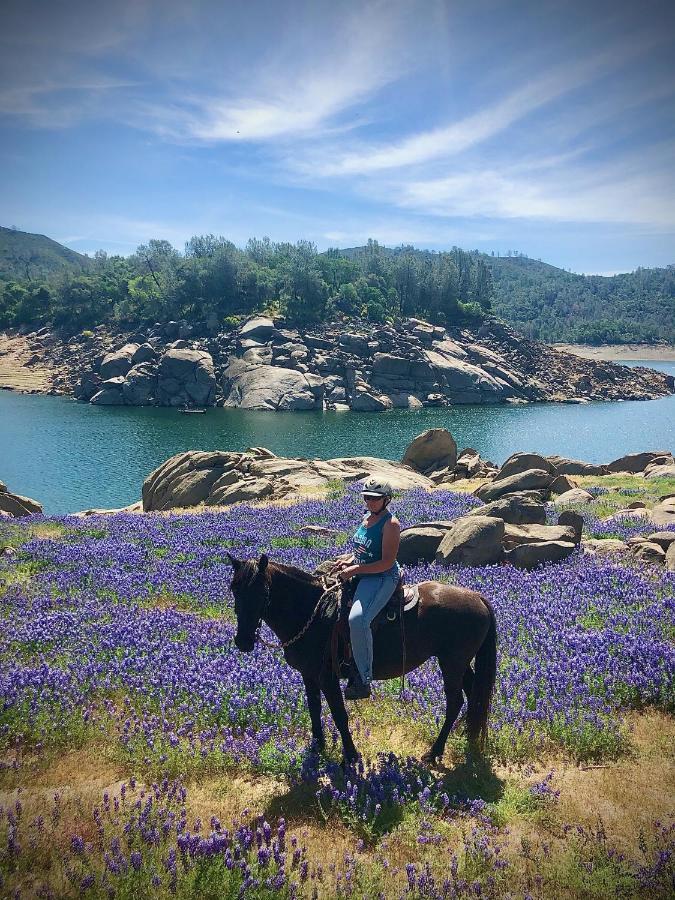 Pilot HillAmazing Loft On Horse Ranch公寓 外观 照片