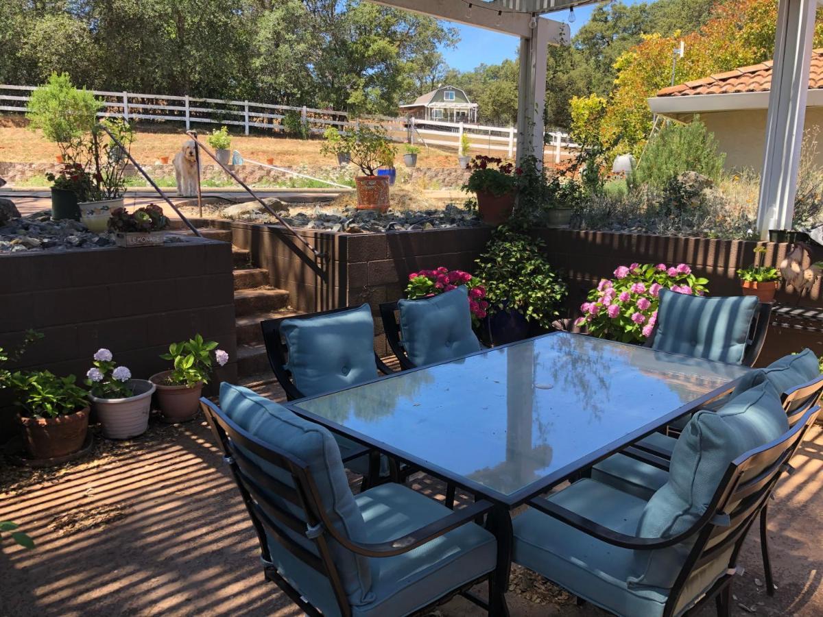 Pilot HillAmazing Loft On Horse Ranch公寓 外观 照片