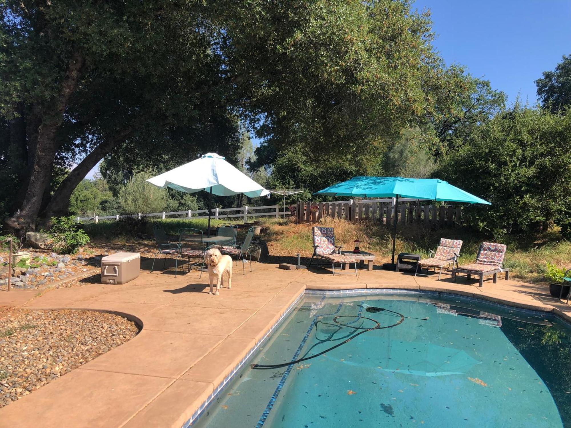 Pilot HillAmazing Loft On Horse Ranch公寓 外观 照片